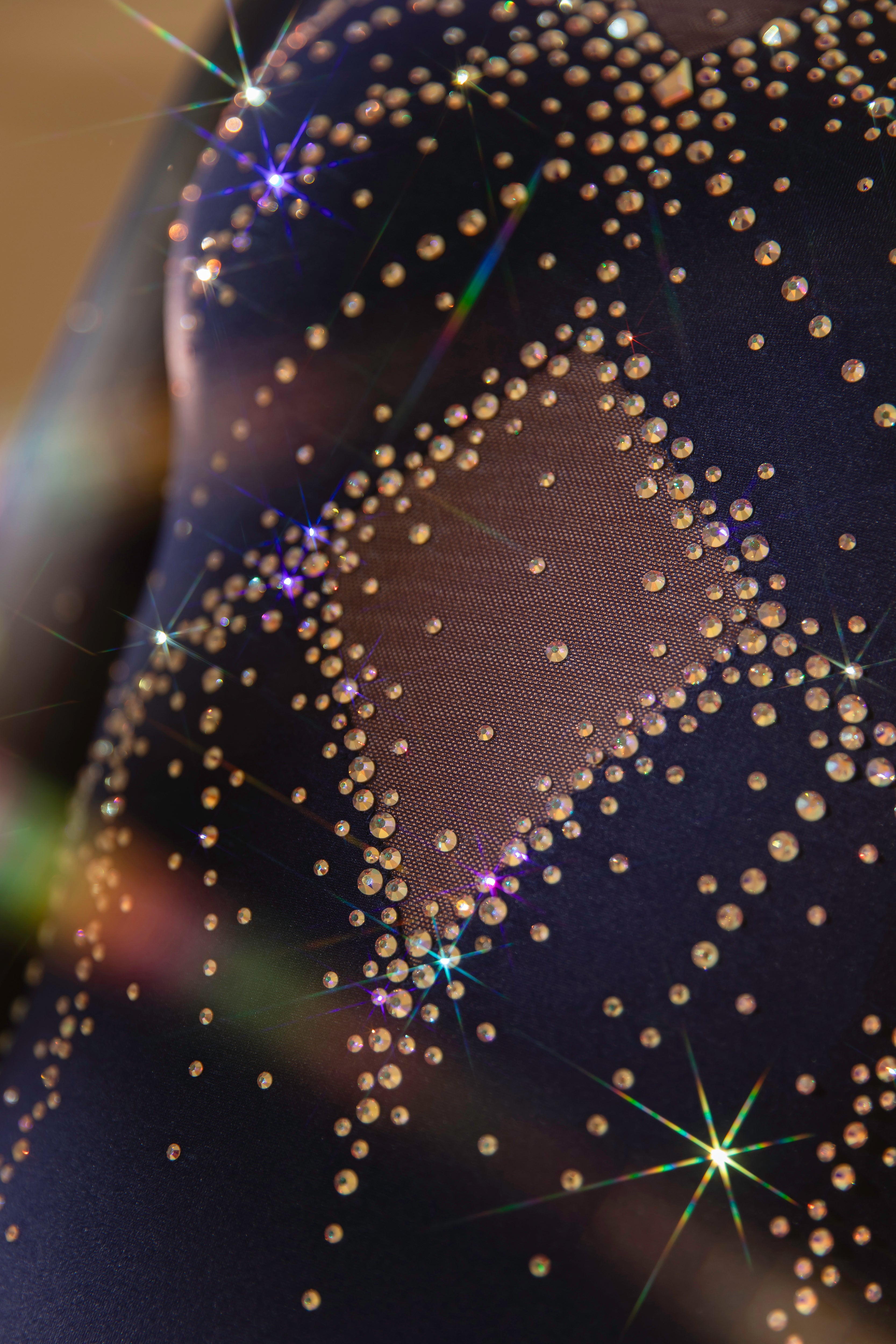 Danielle Leotard - 3Q Sleeve