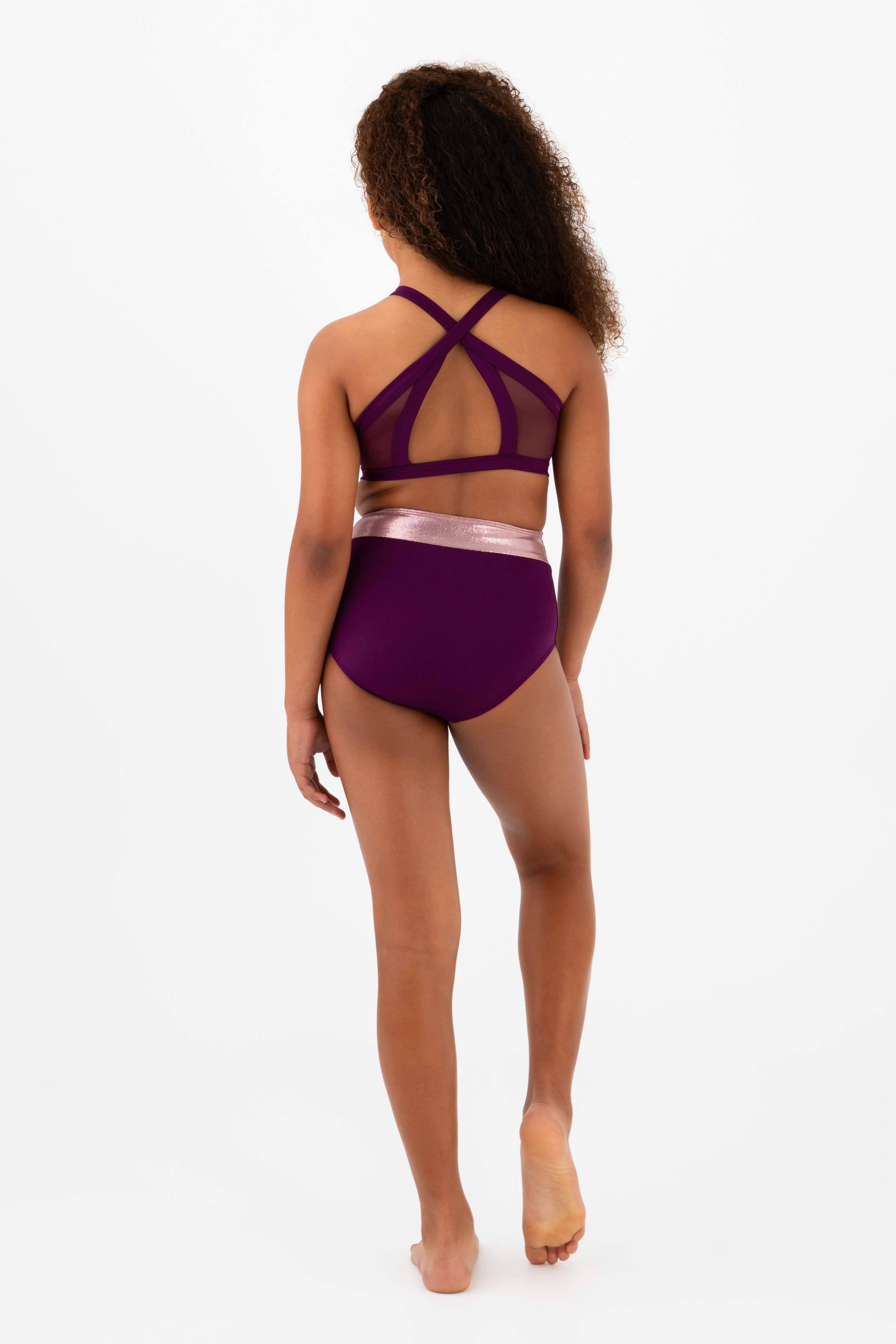 Sugar Plum Leotard